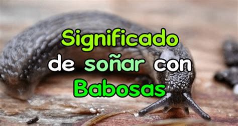 que significa soñar con babosas|Significado de soñar con babosas .